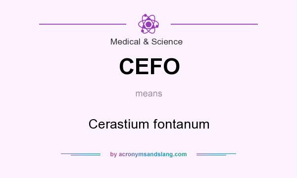 What does CEFO mean? It stands for Cerastium fontanum