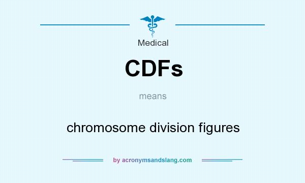 What does CDFs mean? It stands for chromosome division figures
