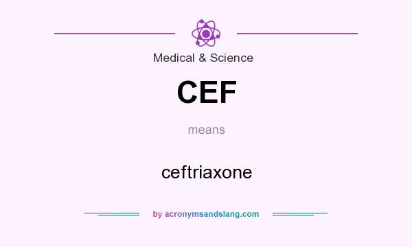 What does CEF mean? It stands for ceftriaxone