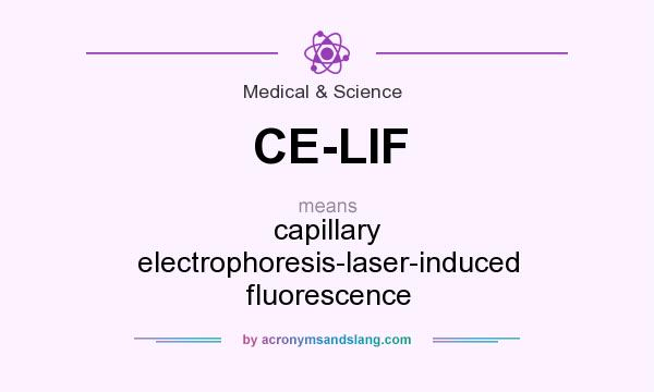 What does CE-LIF mean? It stands for capillary electrophoresis-laser-induced fluorescence