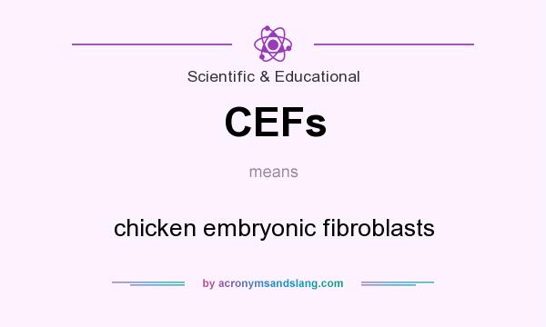 What does CEFs mean? It stands for chicken embryonic fibroblasts