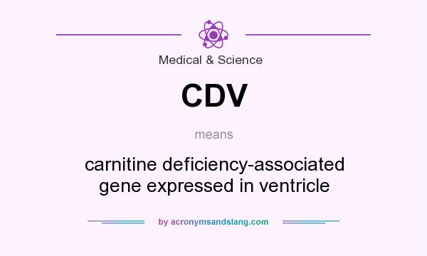 What does CDV mean? It stands for carnitine deficiency-associated gene expressed in ventricle