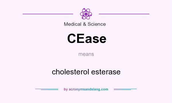 What does CEase mean? It stands for cholesterol esterase