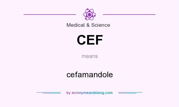 What does CEF mean? It stands for cefamandole
