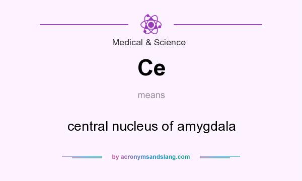 What does Ce mean? It stands for central nucleus of amygdala