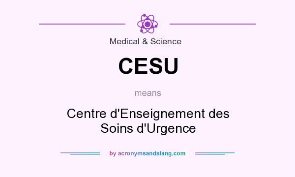 What does CESU mean? It stands for Centre d`Enseignement des Soins d`Urgence
