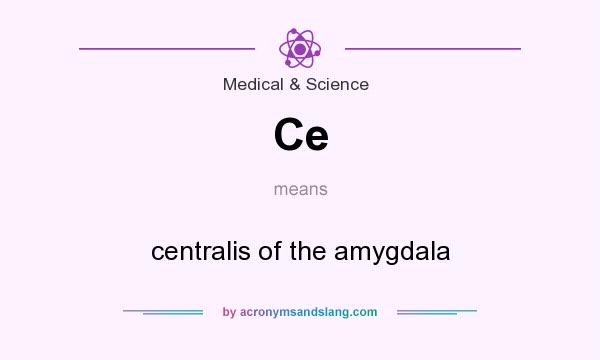 What does Ce mean? It stands for centralis of the amygdala