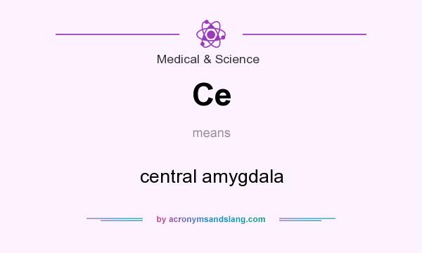 What does Ce mean? It stands for central amygdala