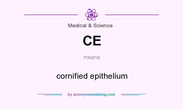What does CE mean? It stands for cornified epithelium