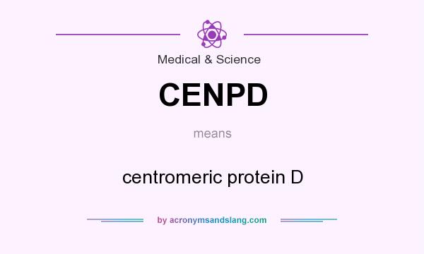 What does CENPD mean? It stands for centromeric protein D