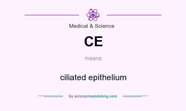 What does CE mean? It stands for ciliated epithelium