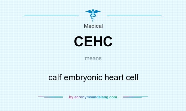 What does CEHC mean? It stands for calf embryonic heart cell