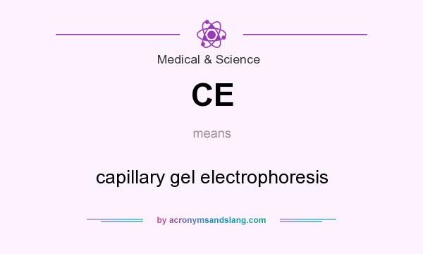 What does CE mean? It stands for capillary gel electrophoresis