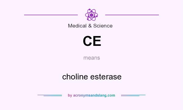 What does CE mean? It stands for choline esterase