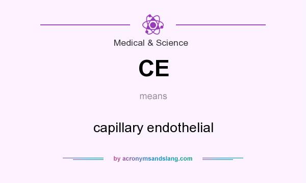What does CE mean? It stands for capillary endothelial