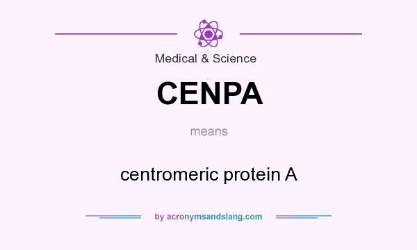 What does CENPA mean? It stands for centromeric protein A