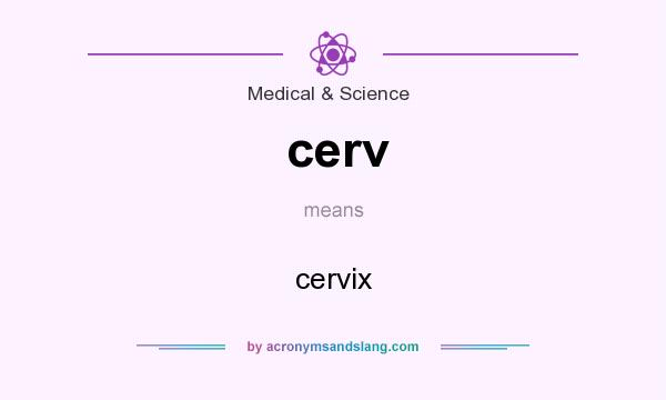 What does cerv mean? It stands for cervix