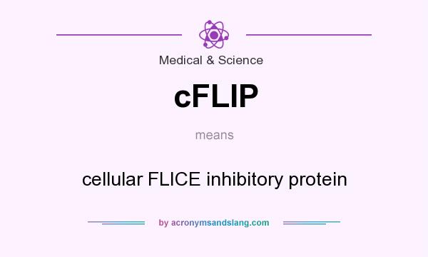 What does cFLIP mean? It stands for cellular FLICE inhibitory protein