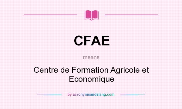What does CFAE mean? It stands for Centre de Formation Agricole et Economique