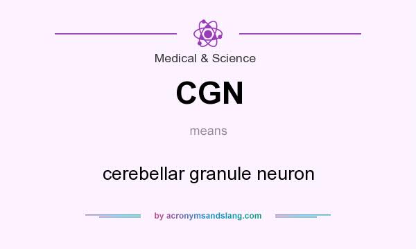 What does CGN mean? It stands for cerebellar granule neuron