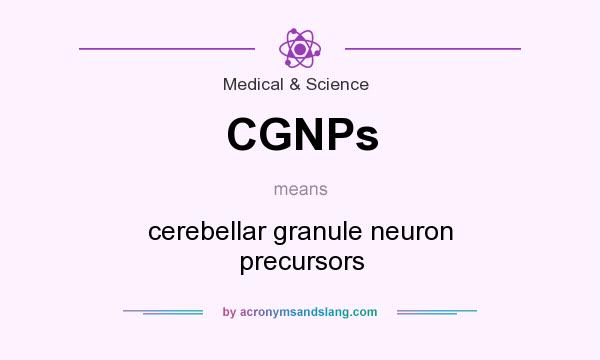 What does CGNPs mean? It stands for cerebellar granule neuron precursors