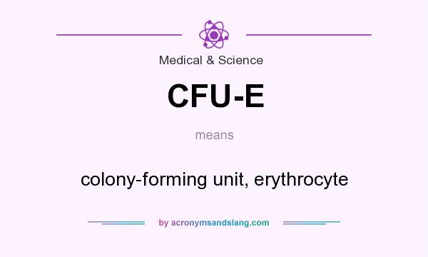 What does CFU-E mean? It stands for colony-forming unit, erythrocyte