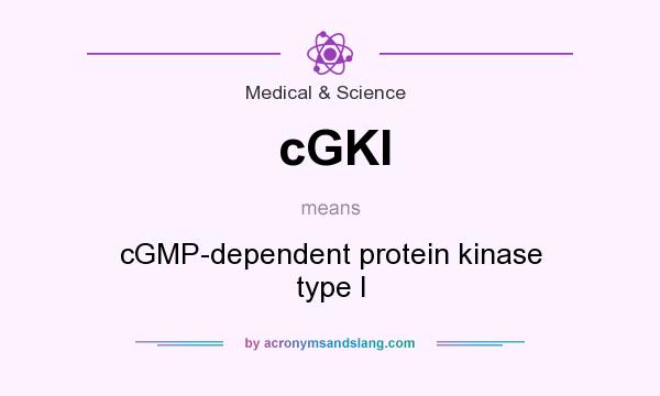 What does cGKI mean? It stands for cGMP-dependent protein kinase type I