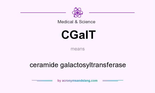 What does CGalT mean? It stands for ceramide galactosyltransferase