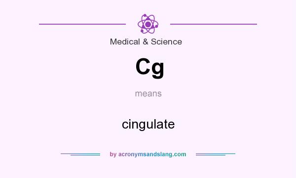 What does Cg mean? It stands for cingulate
