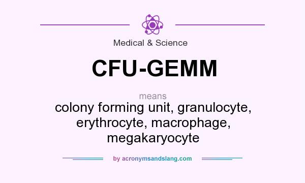 What does CFU-GEMM mean? It stands for colony forming unit, granulocyte, erythrocyte, macrophage, megakaryocyte