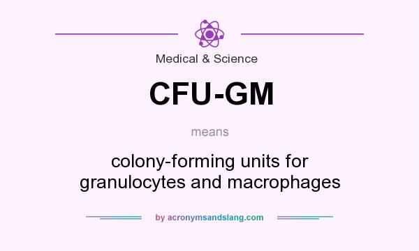 What does CFU-GM mean? It stands for colony-forming units for granulocytes and macrophages