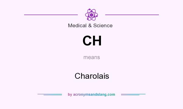 What does CH mean? It stands for Charolais