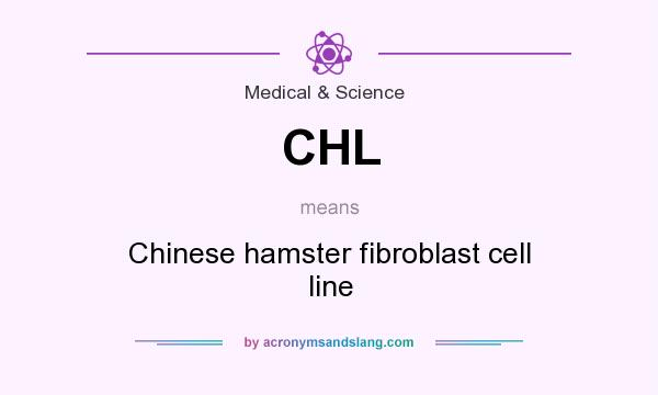 What does CHL mean? It stands for Chinese hamster fibroblast cell line