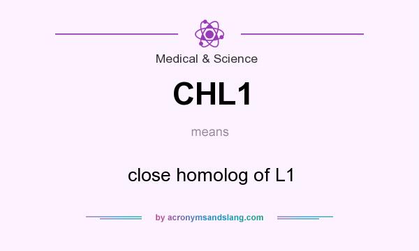 What does CHL1 mean? It stands for close homolog of L1