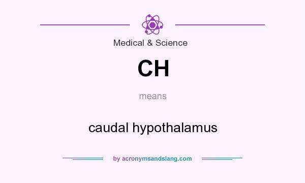 What does CH mean? It stands for caudal hypothalamus