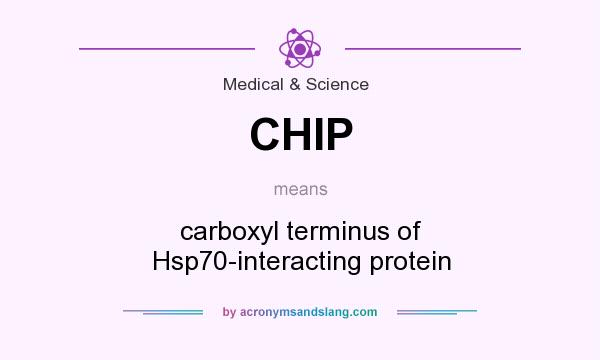 What does CHIP mean? It stands for carboxyl terminus of Hsp70-interacting protein