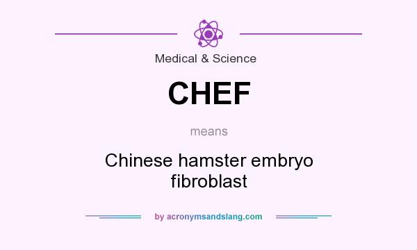 What does CHEF mean? It stands for Chinese hamster embryo fibroblast
