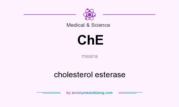 What does ChE mean? It stands for cholesterol esterase