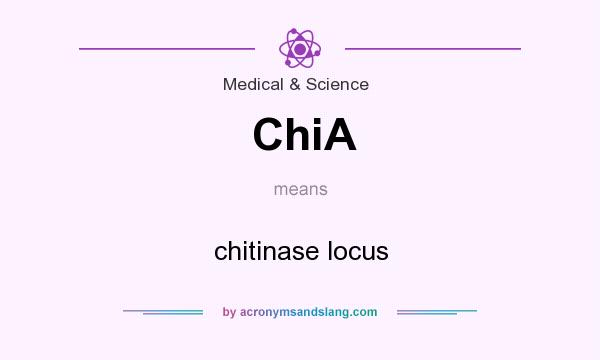 What does ChiA mean? It stands for chitinase locus