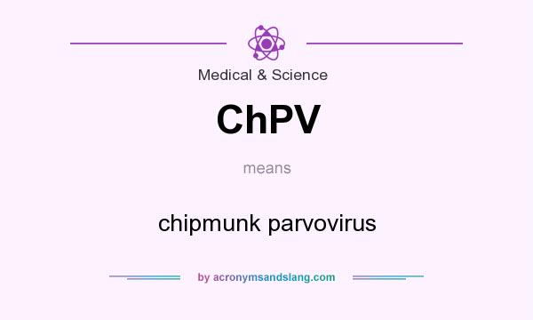 What does ChPV mean? It stands for chipmunk parvovirus