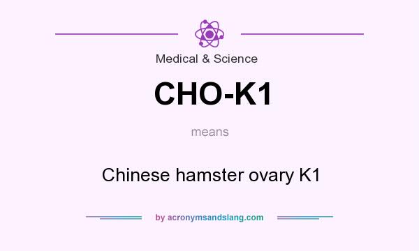 What does CHO-K1 mean? It stands for Chinese hamster ovary K1