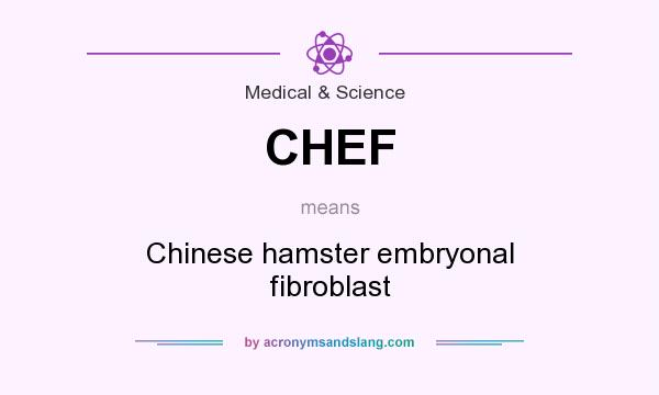 What does CHEF mean? It stands for Chinese hamster embryonal fibroblast