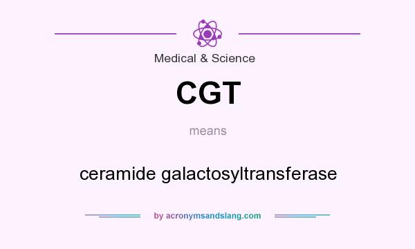 What does CGT mean? It stands for ceramide galactosyltransferase