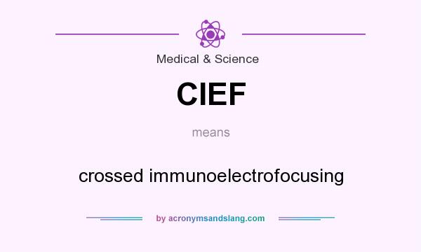 What does CIEF mean? It stands for crossed immunoelectrofocusing