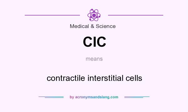 What does CIC mean? It stands for contractile interstitial cells