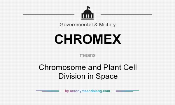What does CHROMEX mean? It stands for Chromosome and Plant Cell Division in Space