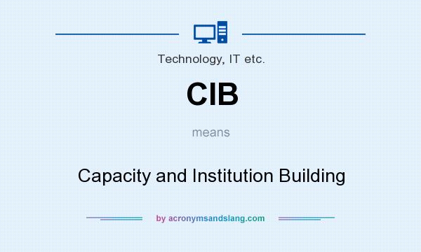 What does CIB mean? It stands for Capacity and Institution Building