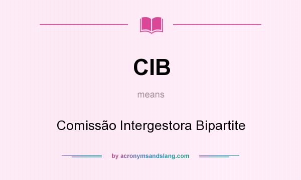 What does CIB mean? It stands for Comissão Intergestora Bipartite