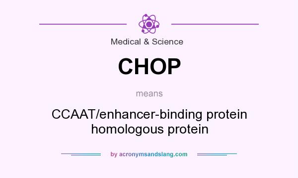 What does CHOP mean? It stands for CCAAT/enhancer-binding protein homologous protein
