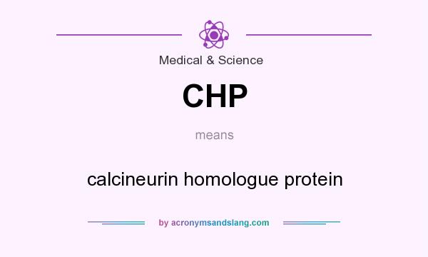 What does CHP mean? It stands for calcineurin homologue protein